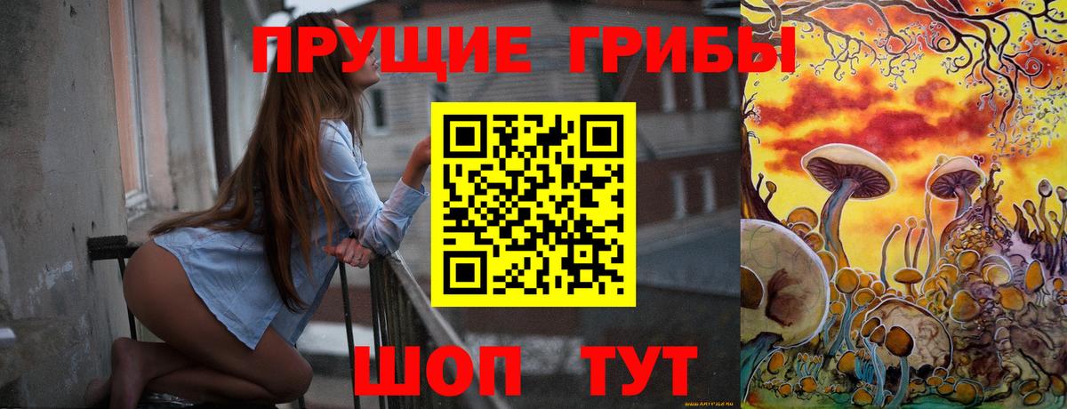 Псков  Псилоцибиновые грибы ЛСД  даркнет сайт  Вход с VPN 